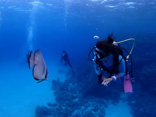 eyJidWNrZXQiOiJudG1nLW1lZGlhIiw