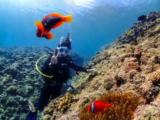 青の洞窟 体験ダイビング 神秘の海中探検ツアー 初心者の方から楽しめるダイビング ツアー中の撮影データ付＜ボート／1日4便／10歳～／約2時間半／恩納村＞