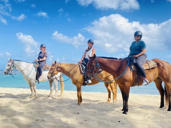 ノースショア（ハレイワ）観光　ハレイワタウンで3時間の自由散策＋ドールプランテーション！海辺の絶景を楽しめる乗馬付き(70分)プランあり＜1日／送迎付き＞