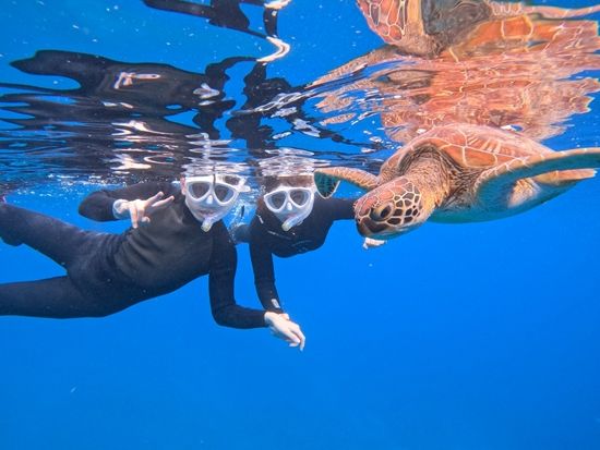 大人気ウミガメシュノーケル 石垣島 99.99％遭遇率 ニモや熱帯魚に会える感動体験 ANAグループ機内誌「翼の王国」掲載＜約3時間／現地集合おすすめ／石垣島＞