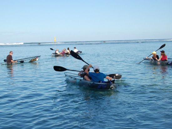 ガラスボトムカヤック＆パドルツアー　水上アクティビティを満喫！フルーツカクテル付き＜英語／ラ・サリーヌ＝レ＝バン発＞