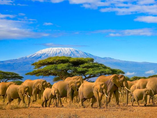 eSIMサービス タンザニア国内対応＜1～5GB／最大10日間／データ通信専用＞