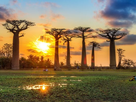 eSIMサービス マダガスカル国内対応＜1～5GB／最大10日間／データ通信専用＞