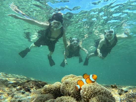 バラス島上陸＆鳩間ブルーシュノーケリングツアー 八重山トップクラス透明度の海を満喫◎＜約5時間／一人参加可／石垣島＞