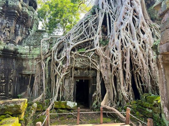 アンコールワットなどの遺跡入場共通パス「アンコールパス」事前予約　パスは前日に宿泊ホテルまで無料配達！＜1～7デーパス＞