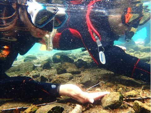 支笏湖 千歳川　リバーシュノーケルツアー 10年連続水質No.1の水中世界を覗いてみよう＜6～11月／現地集合／支笏湖＞by オーシャンデイズ