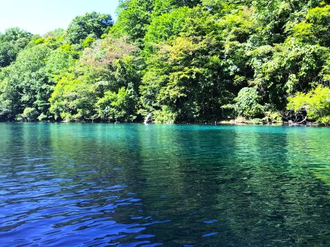 支笏湖 千歳川　リバーシュノーケルツアー 10年連続水質No.1の水中世界を覗いてみよう＜6～11月／現地集合／支笏湖＞by オーシャンデイズ