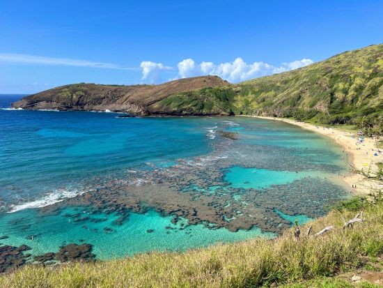 ハナウマ湾シュノーケリング　ハナウマ湾公認日本語ガイドがご案内　ウェットスーツ無料レンタル付き！お得な貸切プランあり＜午前・午後／日本語インストラクター＞