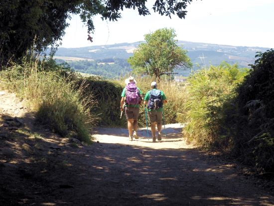 サンティアゴ・デ・コンポステーラ巡礼の旅 7日間　人気の巡礼路「フランスの道」を歩く＜6泊7日／朝夕食付／エコノミー～スタンダードホテル利用／サリア発＞