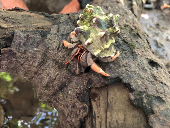 20190826023609_1186739539_0