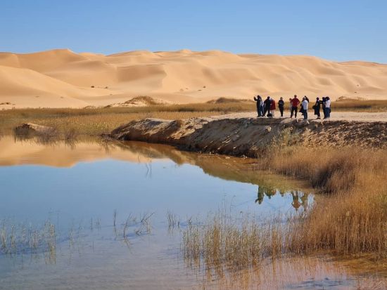 【6～9月】エルゴレア宿泊ツアー　サハラ砂漠の砂丘で行うサンドバス体験！＜6泊7日／英語ガイド／アルジェ発着＞