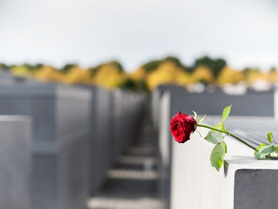 shutterstock_386524426