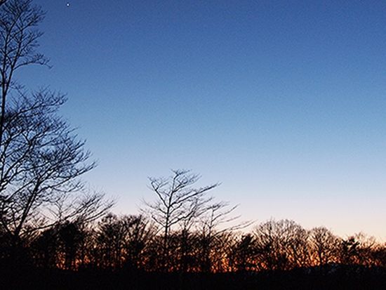 photo_a08_musasabi3-1