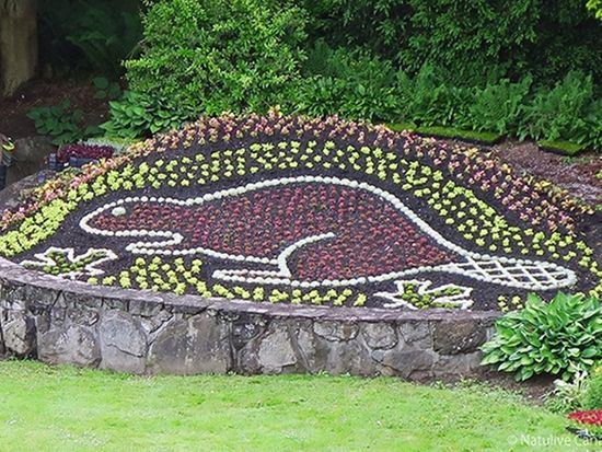 Queen-Elizabeth-Park-02-600