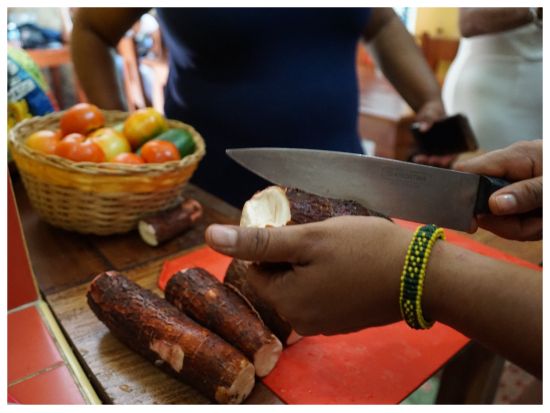 キューバ家庭料理教室＜3時間／グループ or 貸切／1～6名／英語ガイド／ハバナ発＞