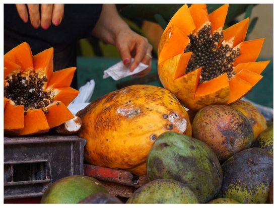 キューバ家庭料理教室＜3時間／グループ or 貸切／1～6名／英語ガイド／ハバナ発＞