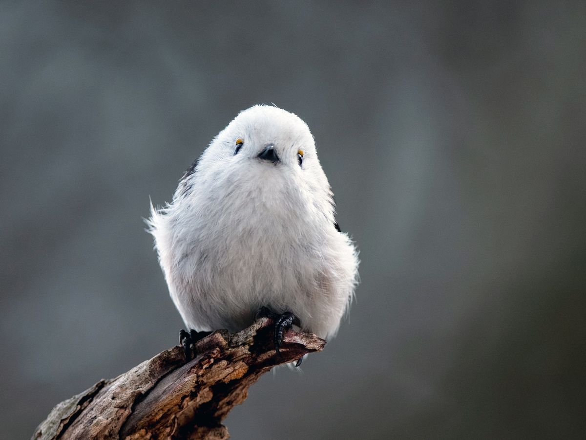 20240523060418_1240747564_1670