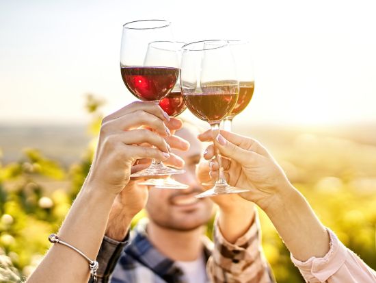 ワイヘキ島　3軒のワイナリーと最高級オリーブオイルメーカー訪問　美しい景観とワイヘキ島の味覚堪能ツアー＜昼食付／試飲付／英語ガイド／オークランド発着＞