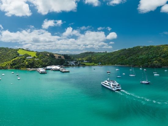 ワイヘキ島　3軒のワイナリーと最高級オリーブオイルメーカー訪問　美しい景観とワイヘキ島の味覚堪能ツアー＜昼食付／試飲付／英語ガイド／オークランド発着＞