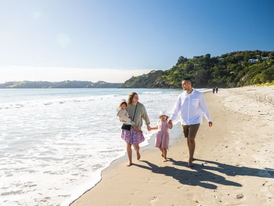 ワイヘキ島　3軒のワイナリーと最高級オリーブオイルメーカー訪問　美しい景観とワイヘキ島の味覚堪能ツアー＜昼食付／試飲付／英語ガイド／オークランド発着＞