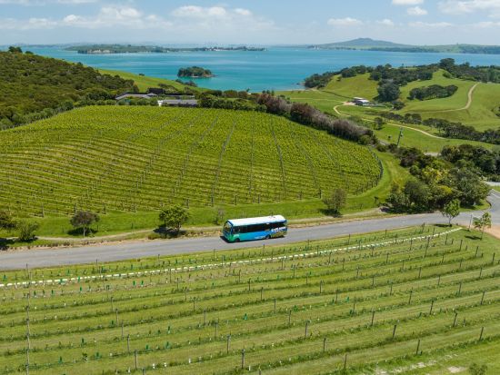 ワイヘキ島　3軒のワイナリーと最高級オリーブオイルメーカー訪問　美しい景観とワイヘキ島の味覚堪能ツアー＜昼食付／試飲付／英語ガイド／オークランド発着＞