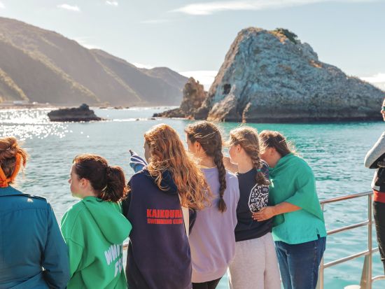 カイコウラ ホエールウォッチング　マッコウクジラに会いに行く！＜日本語ガイド／往復送迎付／クライストチャーチ発＞