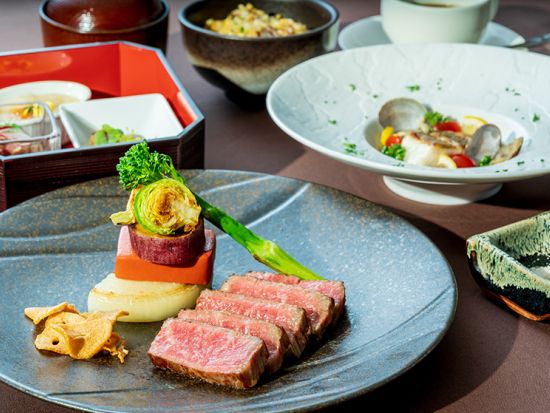 THE KOBE CRUISE コンチェルト ランチクルーズ｜鉄板焼きコース 事前予約＜神戸市＞