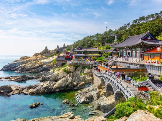 海女さんで有名な港町・蓮花里刺身村（ヨンファリ）で採れたて海鮮＆漁港の名物アワビ粥の朝食＋海東龍宮寺半日観光ツアー＜午前／日本語ガイド／ホテルお迎え＞