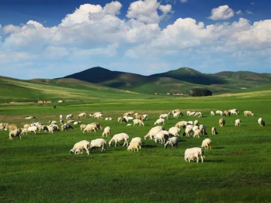 【5～10月限定の週末プラン】上海発 内モンゴル泊2日間 ゲル宿泊体験！シラムレン大草原＋クブチ砂漠の娯楽施設を全網羅＜日本語ガイド・往復航空券付・混載無＞