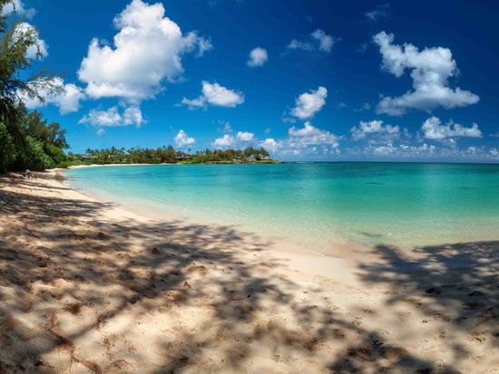 shutterstock_2465469683