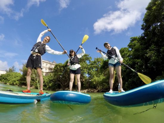 野生のウミガメに会えるSUP(スタンドアップパドル)体験　参加年齢4歳〜79歳　ペット同伴OK〈高画質写真＆動画付き〉by オーシャンキング