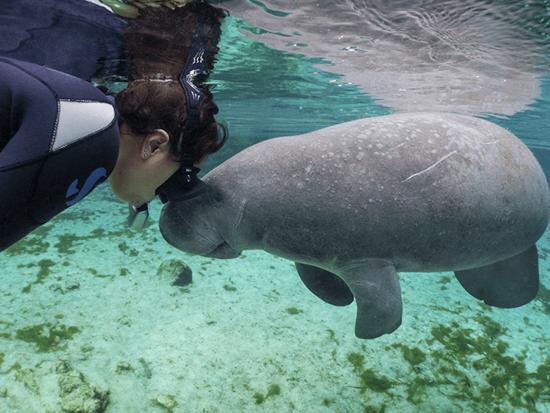 マナティと泳ぐシュノーケリング＆ホモサッサ州立公園　1日観光ツアー ＜昼食付き／英語ガイド＞