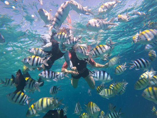 スピードボートで行く海洋保護区でのシュノーケルツアー！　パラセイリングorバナナボート付きプランや昼食オプションあり＜半日／英語ガイド＞