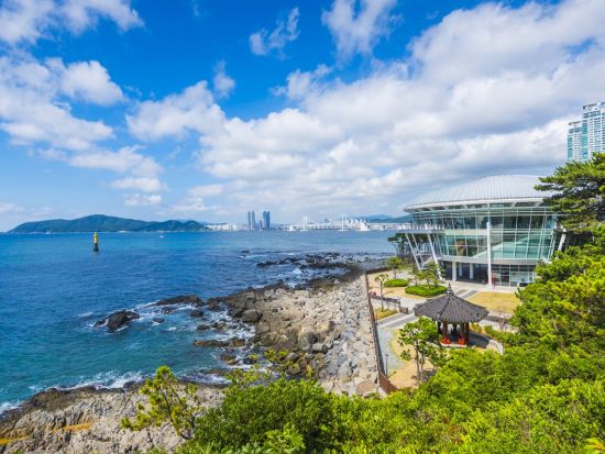 【クルーズ船利用者限定！貸切チャーター】釜山市内を自由に観光　選べる時間（5時間または8時間）＜最大12名／釜山港発＞※車1台あたり料金