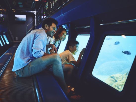 海中展望船「サブマリンJr.Ⅱ」半潜水艦型グラスボートで動く水族館へ！＜0～2歳無料／ANAインターコンチネンタル万座ビーチリゾート＞