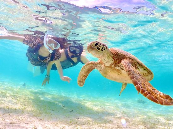 【貸切】ウミガメシュノーケル 宮古ブルーの美しい海を自由に探索 2歳から参加可能 写真・動画の無料プレゼント付き＜2時間／宮古島＞