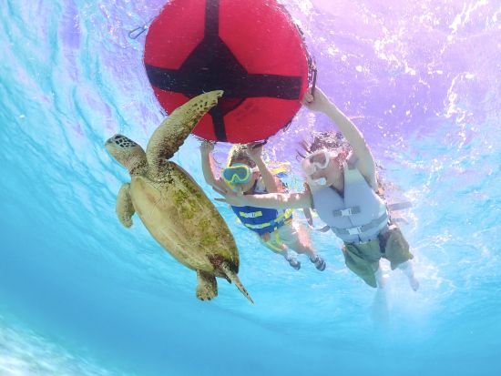 【貸切】ウミガメシュノーケル 宮古ブルーの美しい海を自由に探索 2歳から参加可能 写真・動画の無料プレゼント付き＜2時間／宮古島＞