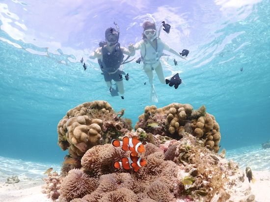 【貸切】ウミガメシュノーケル 宮古ブルーの美しい海を自由に探索 2歳から参加可能 写真・動画の無料プレゼント付き＜2時間／宮古島＞