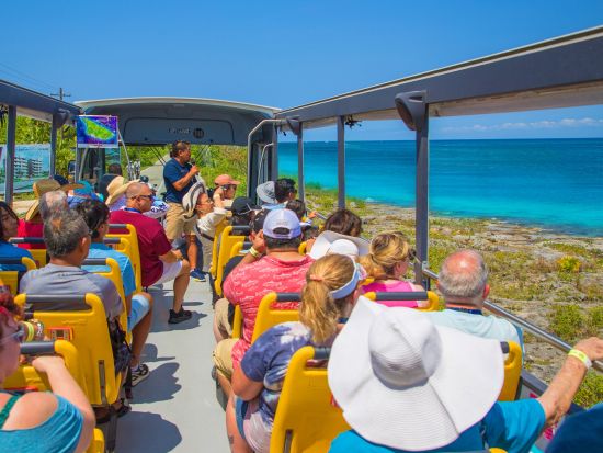 コスメル島半日観光ツアー！マヤ文明の世界観に触れるショー鑑賞やテイスティング、ビーチ訪問付きで盛り沢山＜コスメル島発／英語ガイド＞