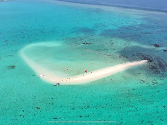 沖縄石垣島 幻の島上陸！半日シュノーケリング 3歳から参加OK ＜市街地送迎可／石垣島＞by トムソーヤ