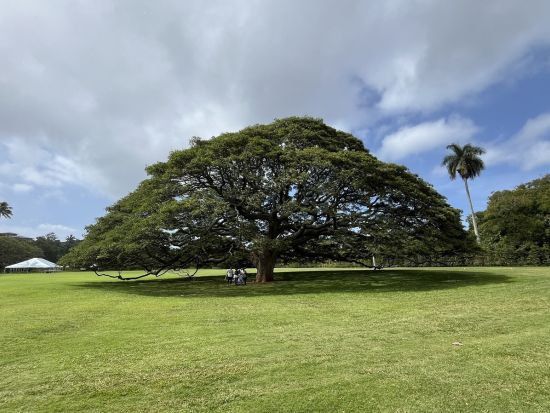 空港発バン貸切チャーター　空港からそのまま観光へ！あなただけのオーダーメイドツアー＜1～7名／2～9時間／日本語ガイド＞