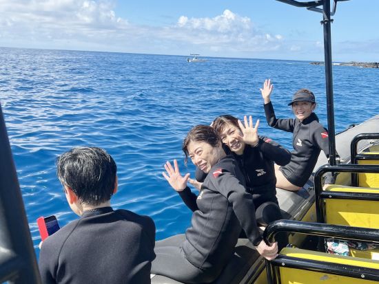 野生のイルカウォッチング＆シュノーケリングツアー ＜軽食付き／英語ガイド＞