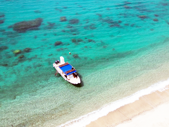 【夏季限定】2ボートシュノーケリング半日ツアー　写真・動画プレゼント！スナック&ドリンク付き＜1名～／7月中旬～11月／約3時間／笠利町＞by OCEANZ