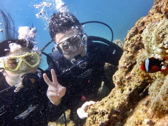 体験ダイビング 神秘的な海の世界へ出かけよう！写真撮影＆レンタル品付き＜約2時間半／奄美大島＞ byダイブサービス ブルーゲイト