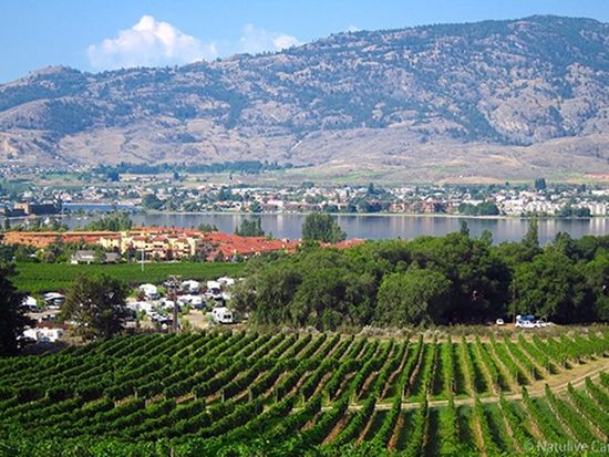 Okanagan-NkMip-Cellars-01-600