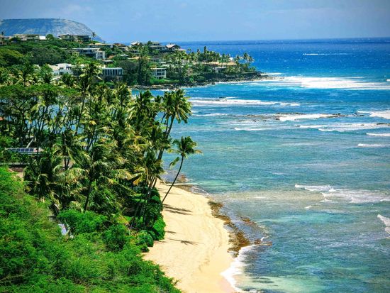 shutterstock_2408477127