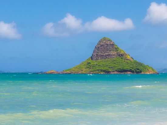 shutterstock_1196654689