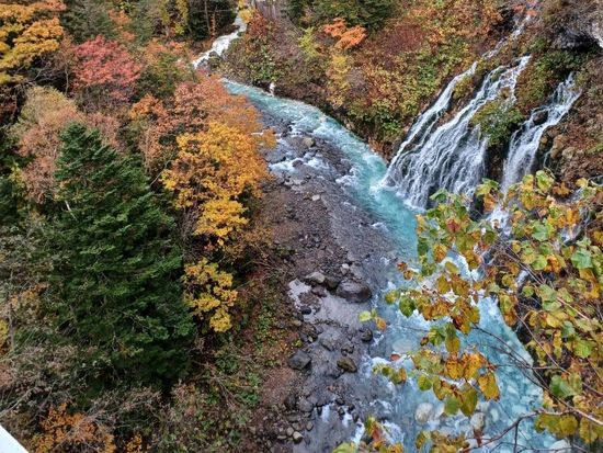 C9366F86-3FE6-4BAA-A20B-889C849C5136