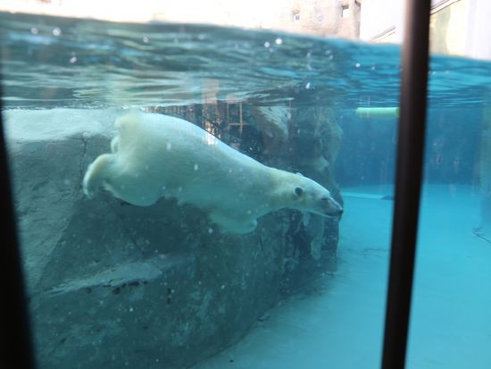 4339E6F8-01E6-4F9D-92A4-44D0413F61E6