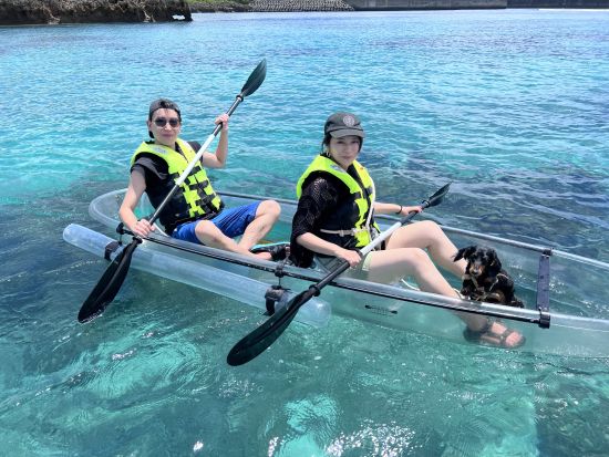 【愛犬連れOK】クリアカヤックツアー　愛犬と一緒に透明度抜群の海の散歩へ！＜2歳から参加OK／当日予約可／1～1.5時間／宮古島＞